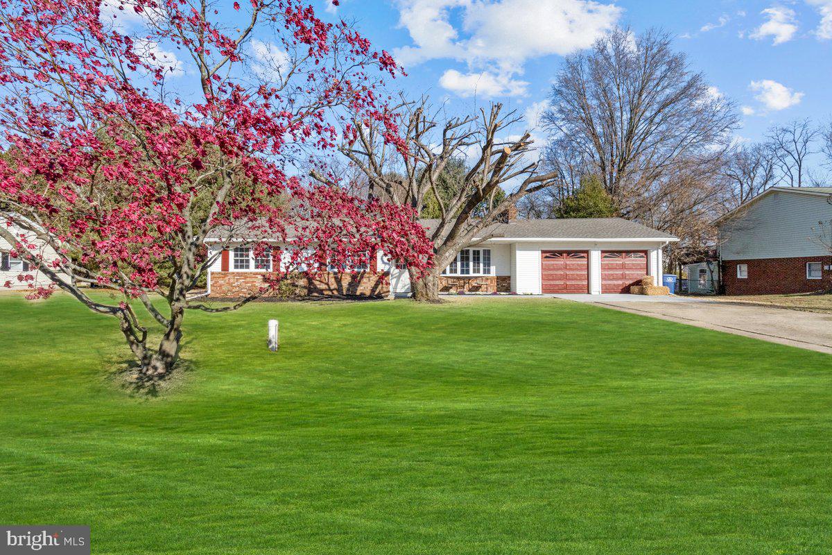 a house view with a garden space