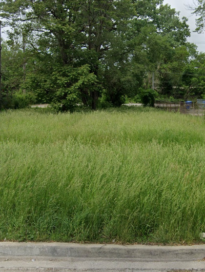 a view of a green yard