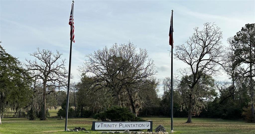 a view of a park with trees