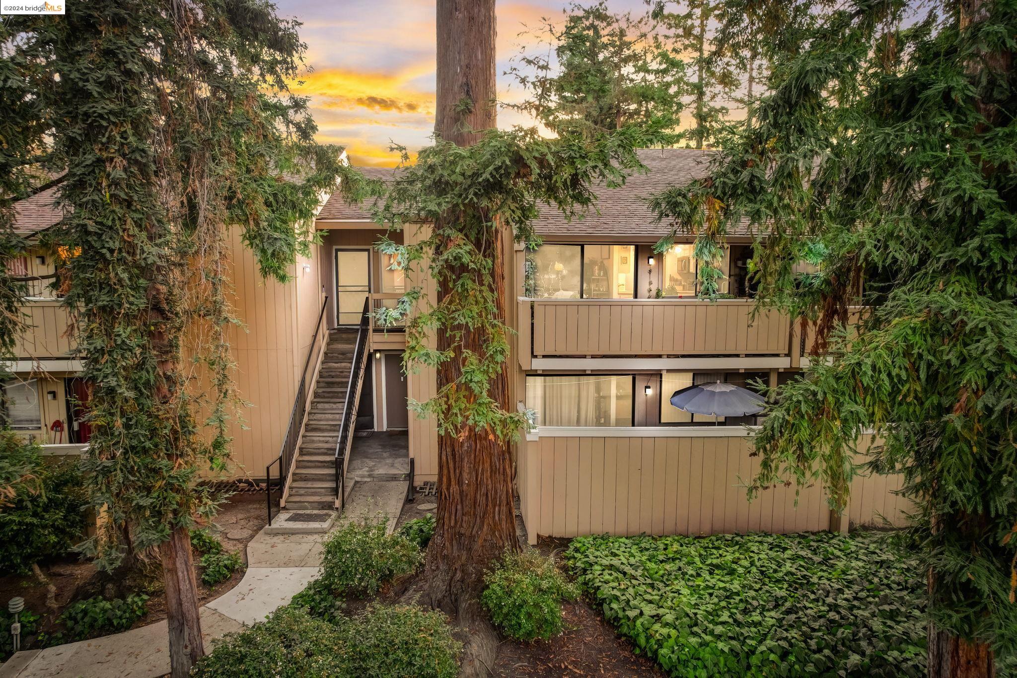 a view of a house with a small yard and large trees