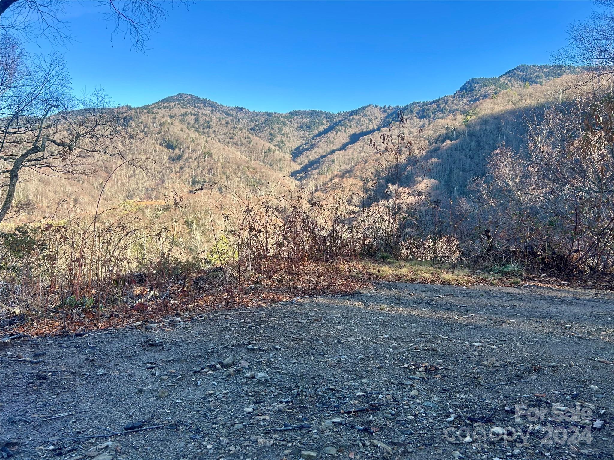 a view of a dry yard with mountains in the background