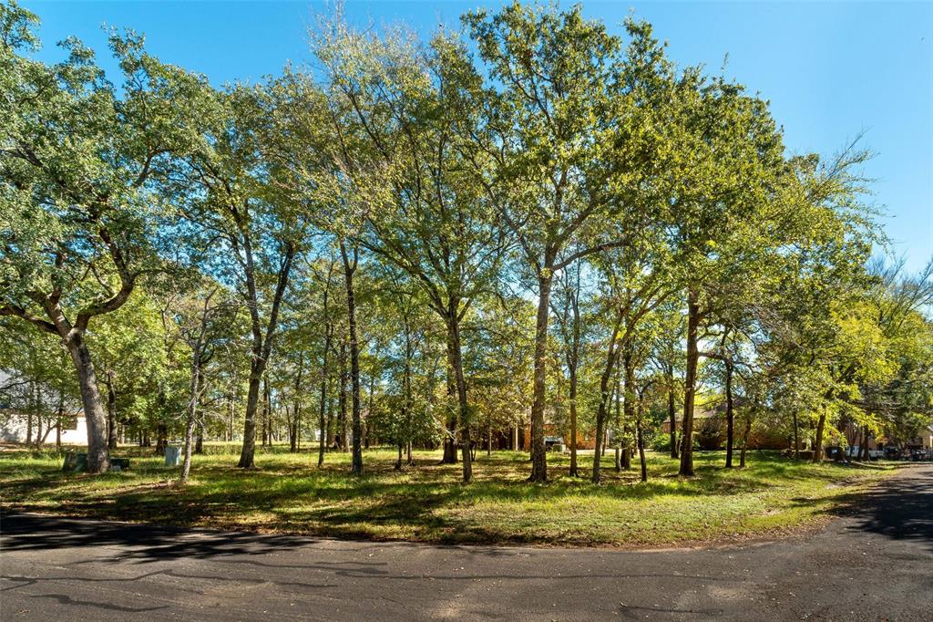 a big yard with trees