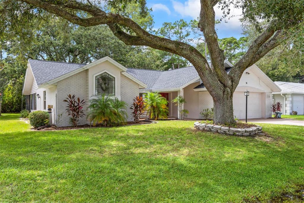 a view of a yard in front of a house with large tree