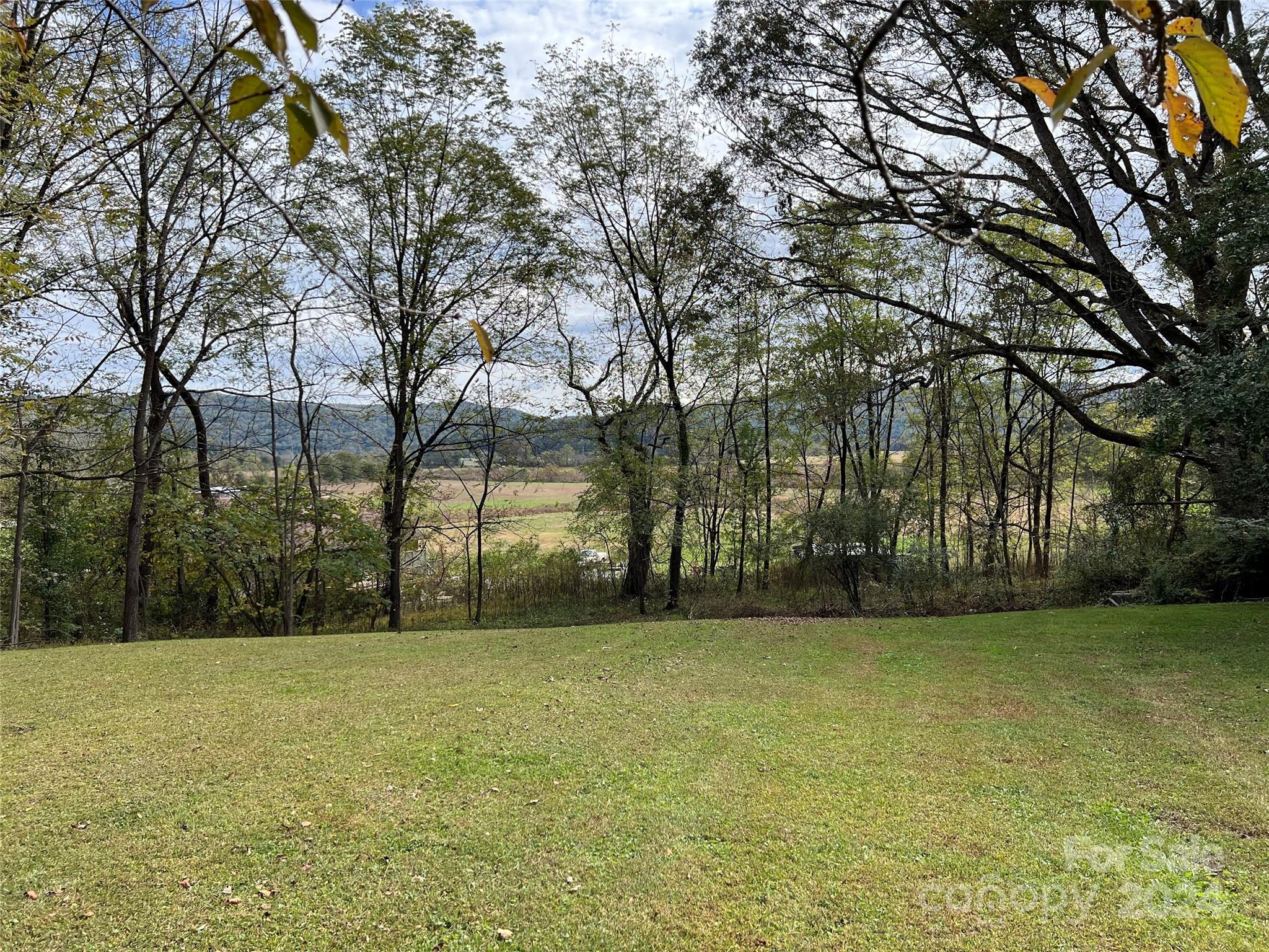 a view of a yard