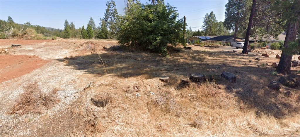 a view of a yard with trees