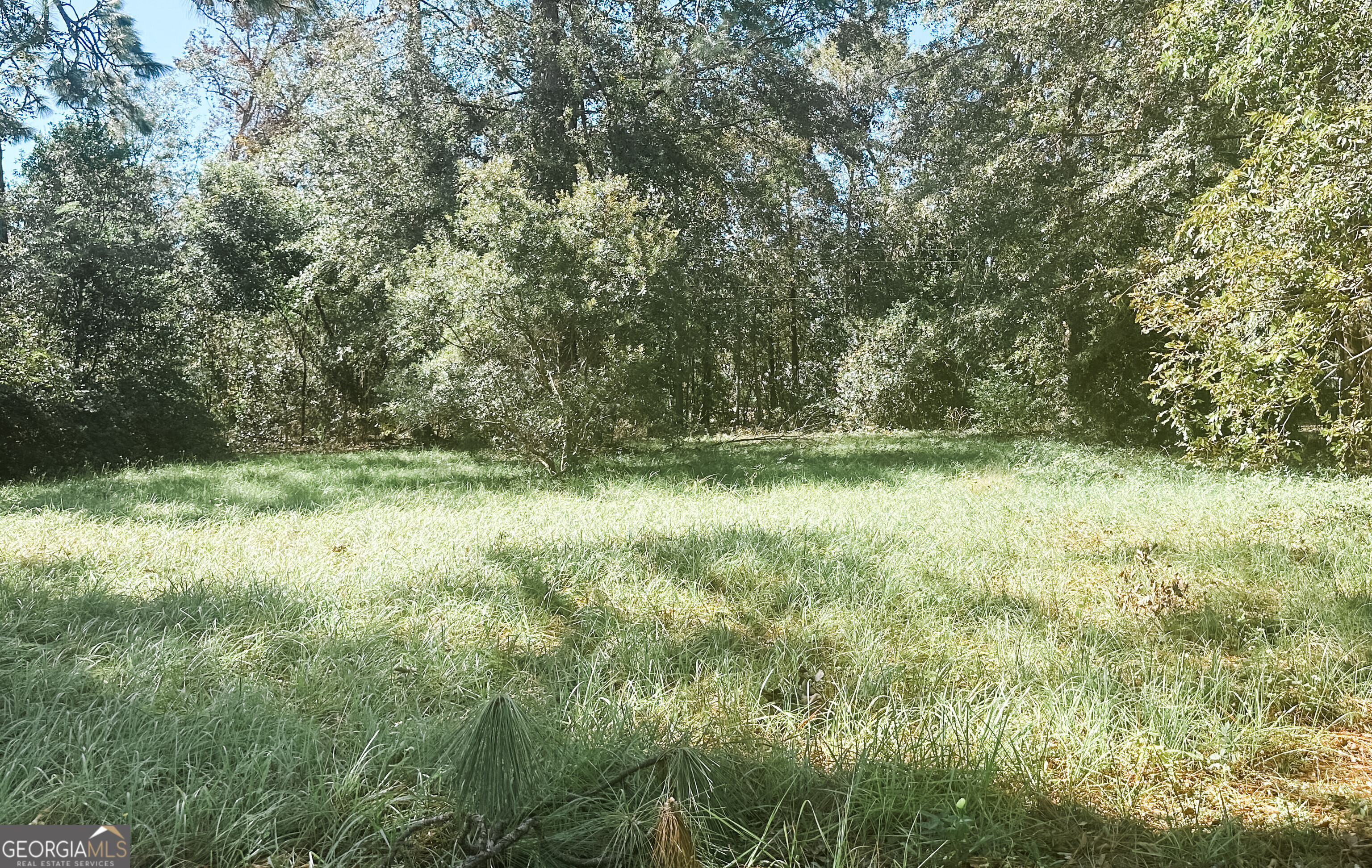 a view of outdoor space and yard