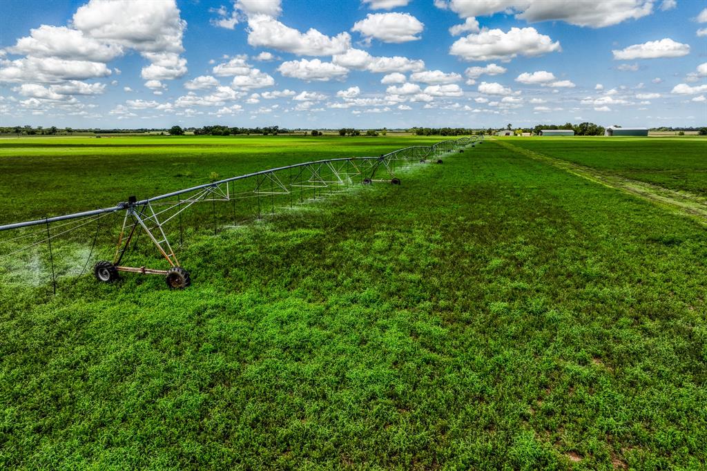 a view of a field with grass