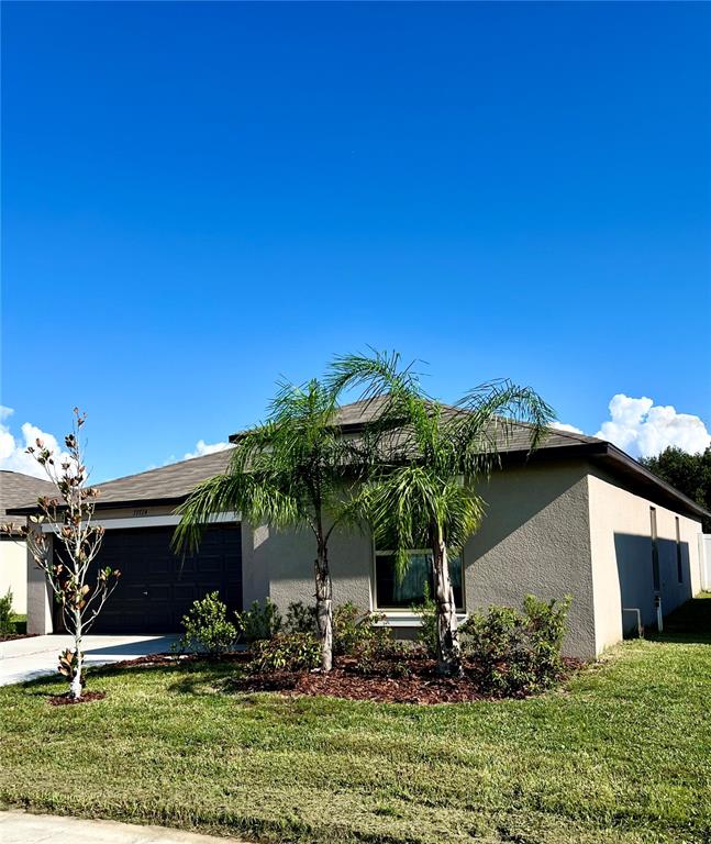 a view of house with a yard