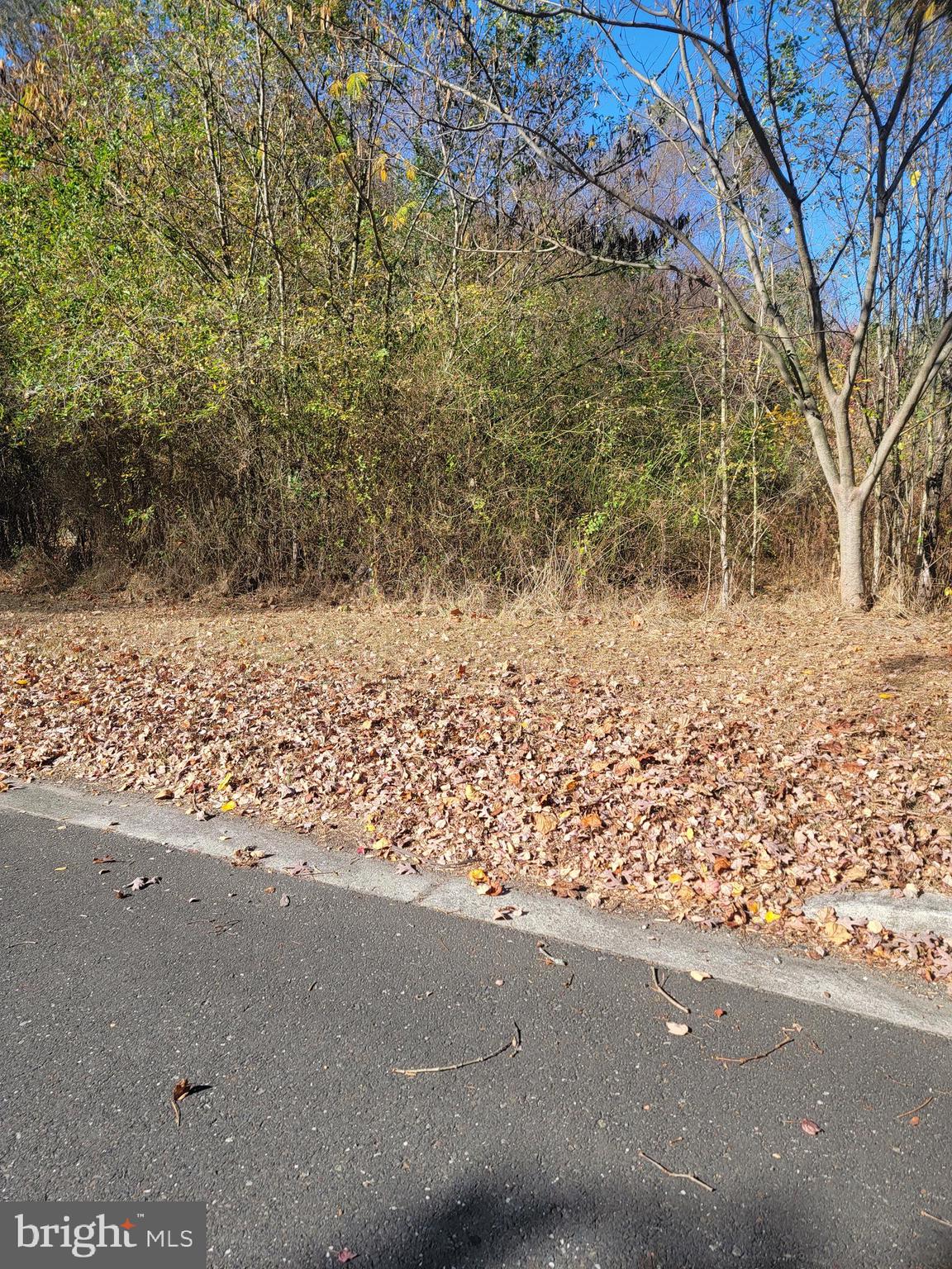 a view of a road with an outdoor space