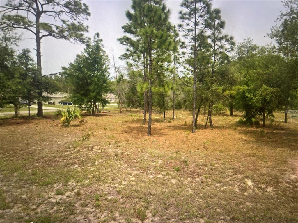 a view of park with trees