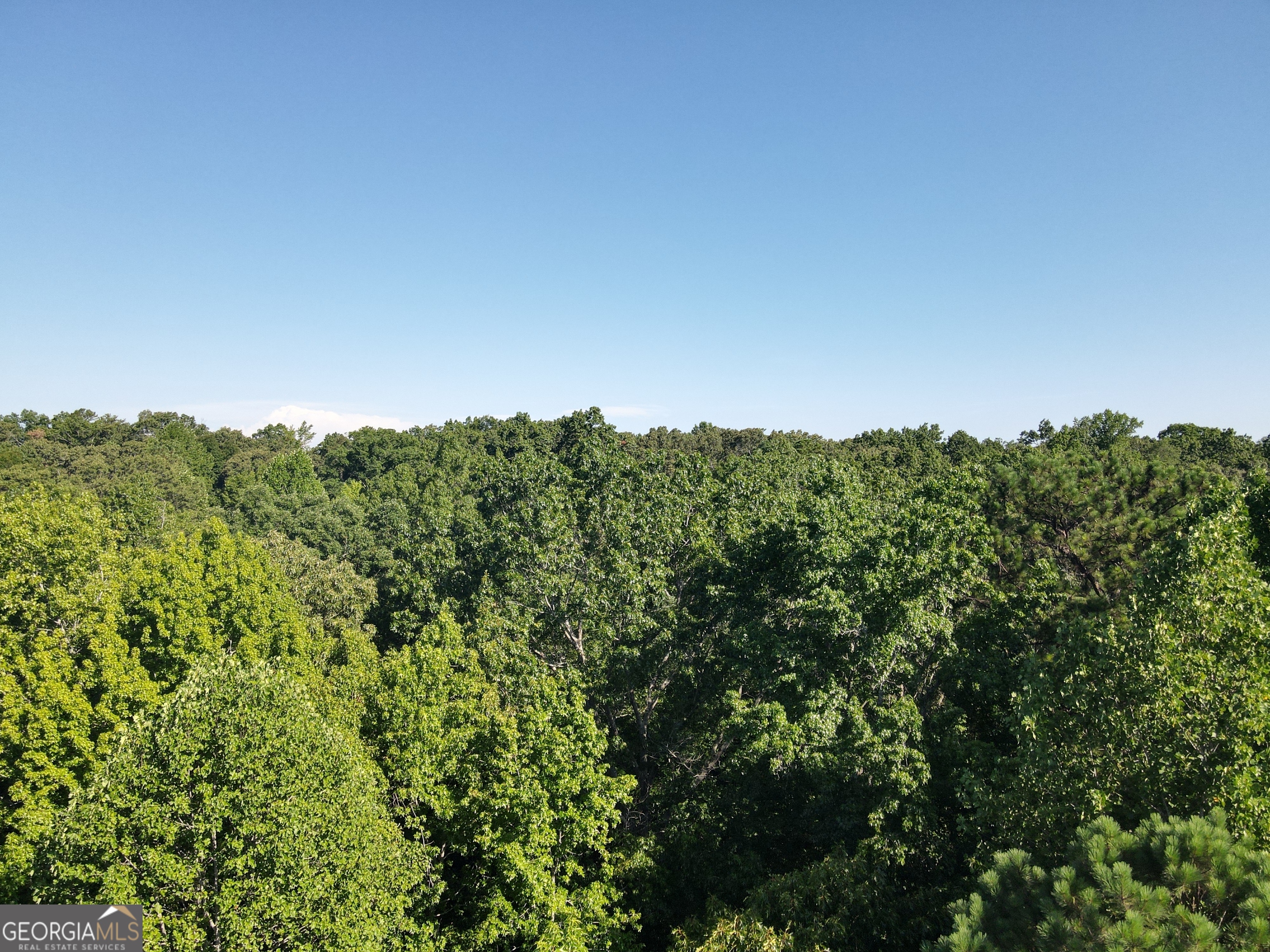 a view of a green field