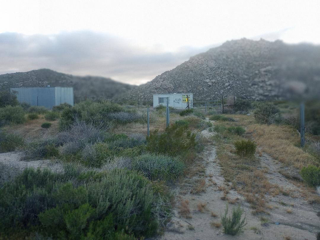 a view of a dry yard with trees