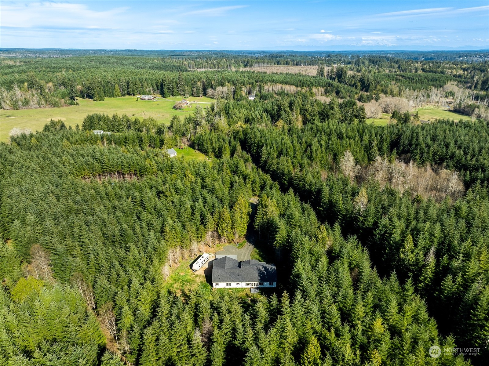 a view of a city with lush green forest