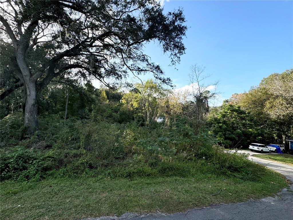 a view of outdoor space with lots of trees