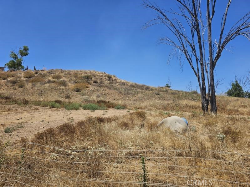 a view of a dry yard with trees in the background