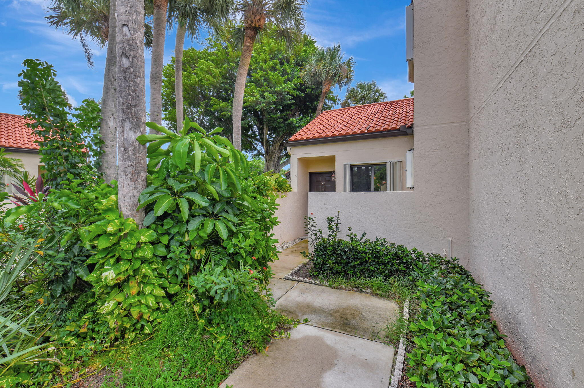 a view of a back yard of the house