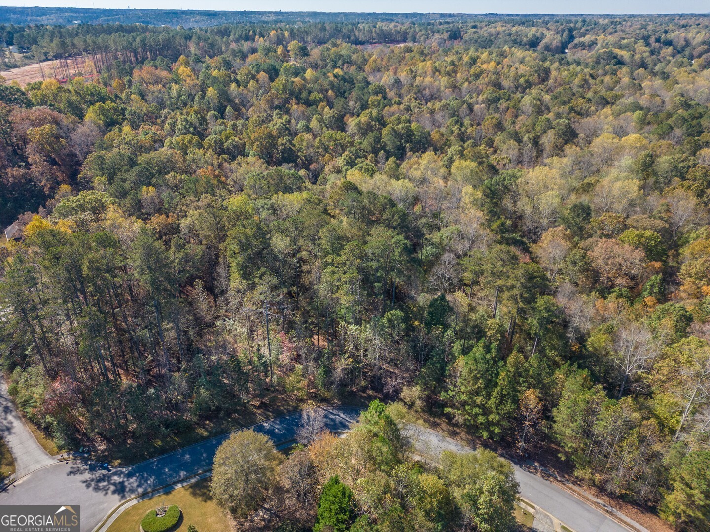 a view of a forest with an outdoor space