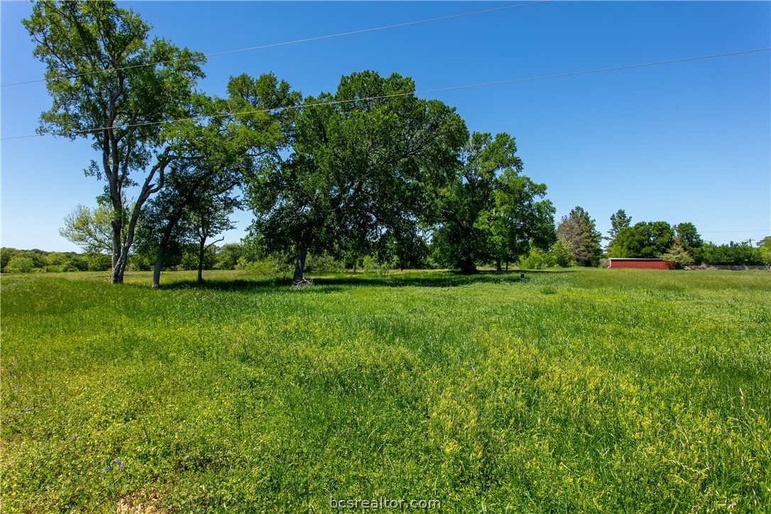 a view of grassy field with benches