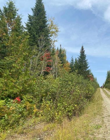 $55,000 | Lot 82.3 Stockholm Road | Connor