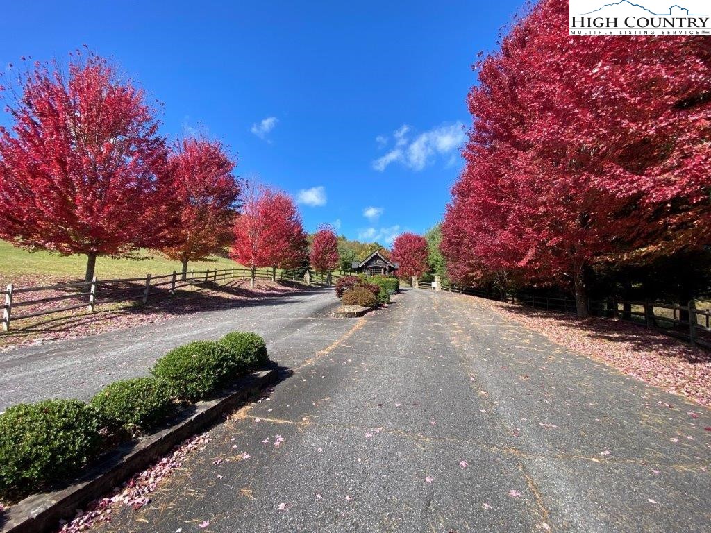 a view of road with trees