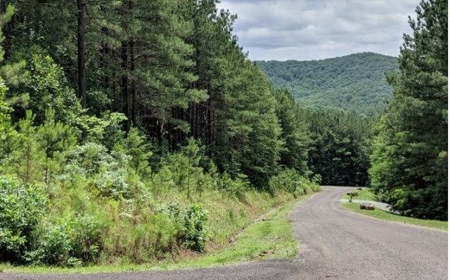 $49,900 | Lot 6 Black Bear Ridge Road