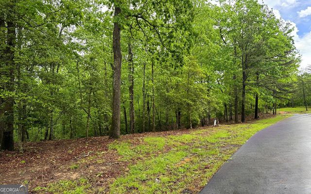 $29,000 | Lot 6 Brasstown Trail | Brasstown Township - Clay County