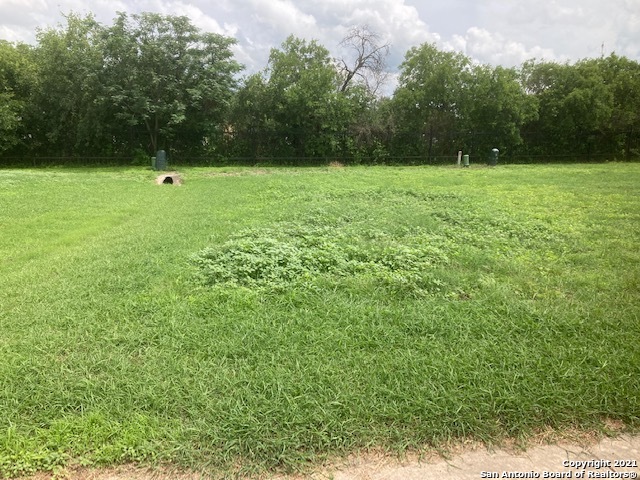 a view of outdoor space with a field and trees in the background