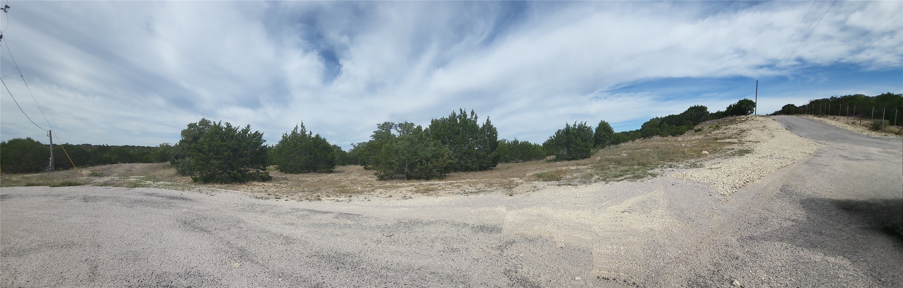 a view of a dry yard with trees in the background