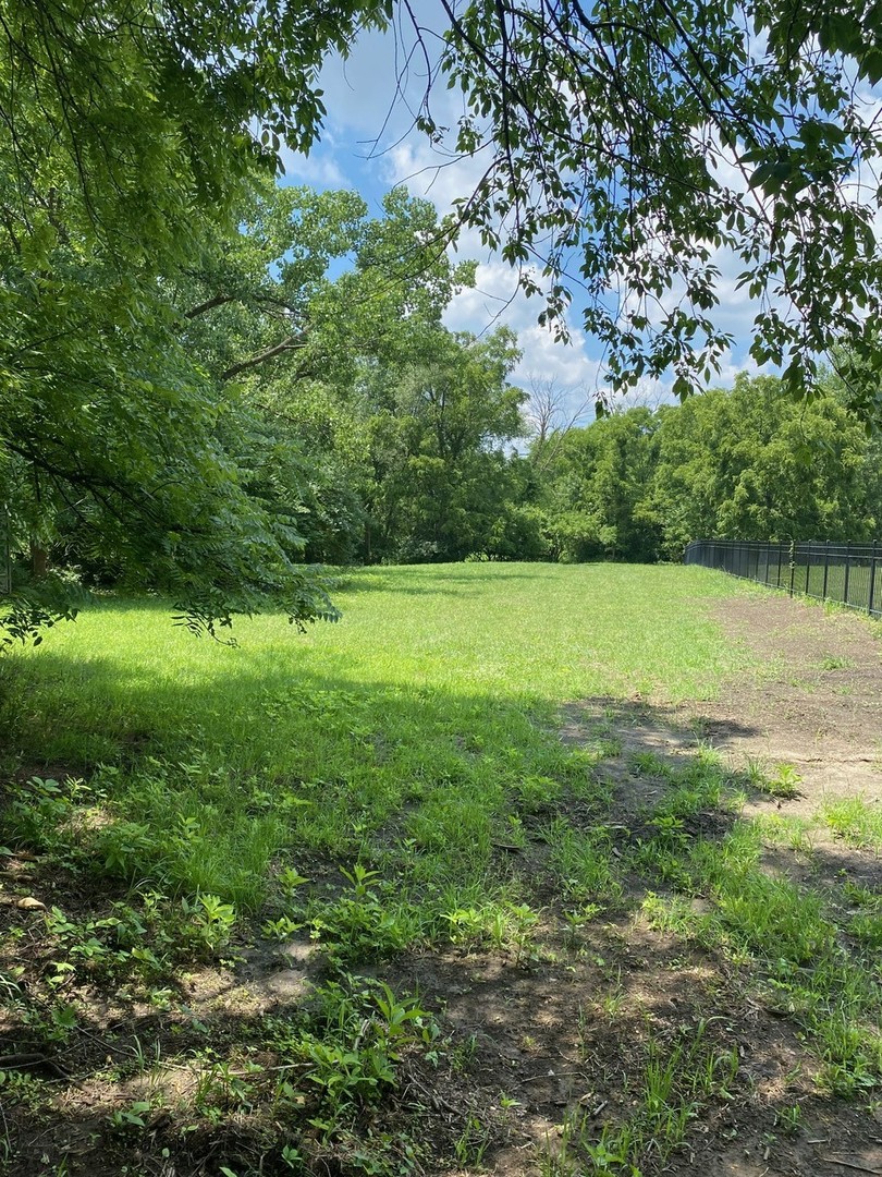 a view of outdoor space with trees all around