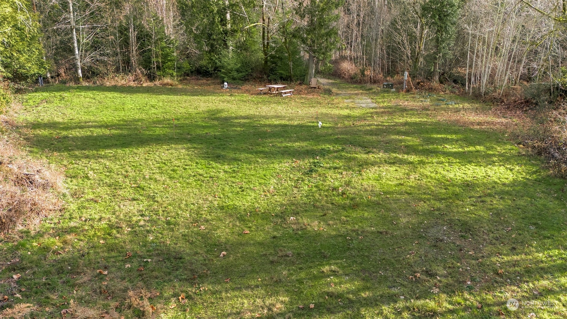 a view of outdoor space with trees all around