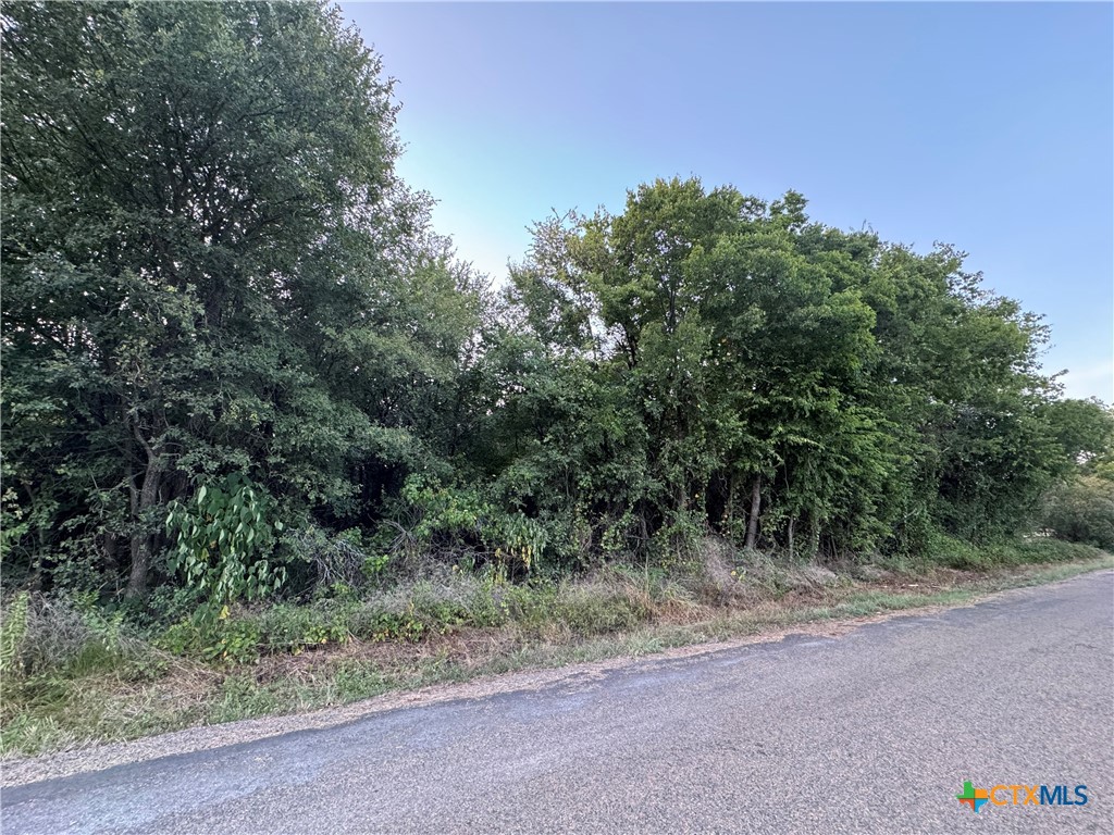 a view of a dry yard with trees