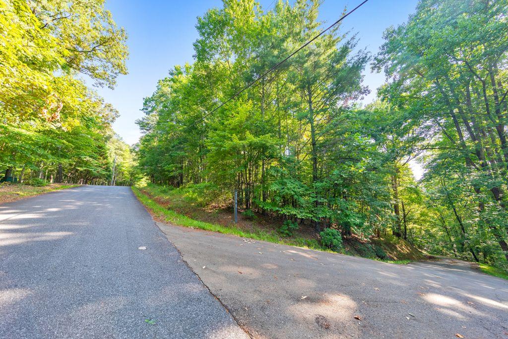 a view of a road with a yard