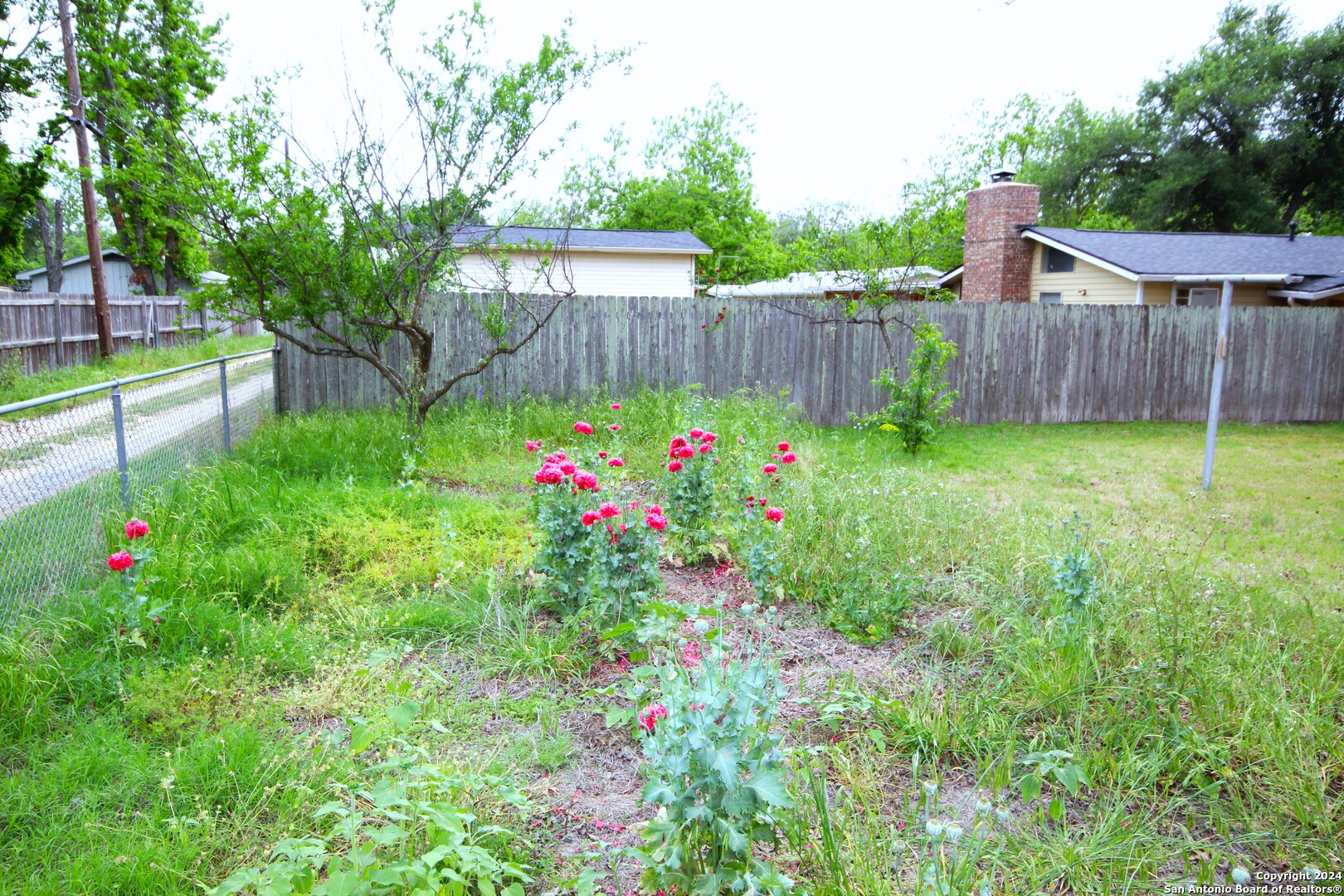 a view of a backyard with a garden and plants