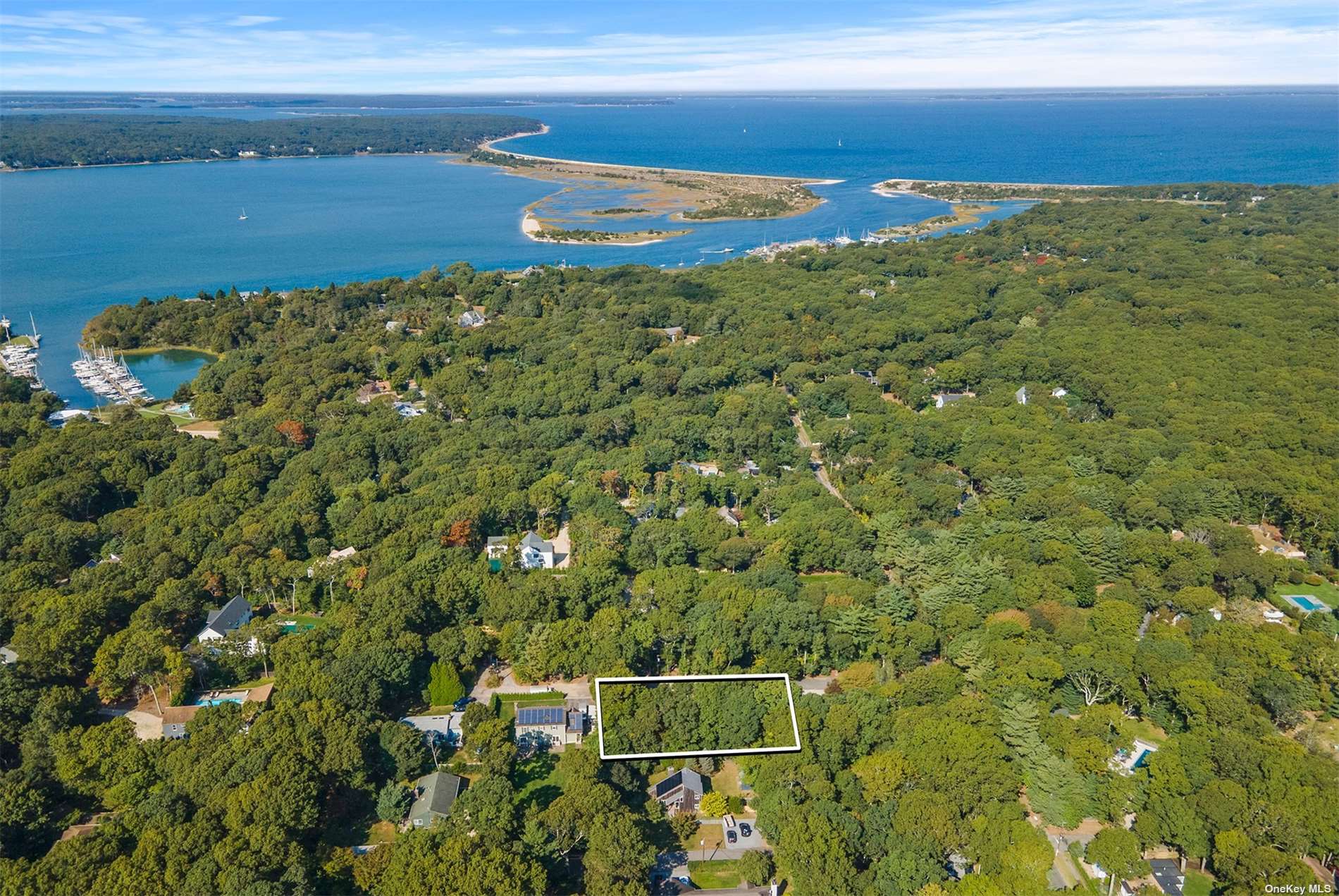 a view of a yard with an ocean view