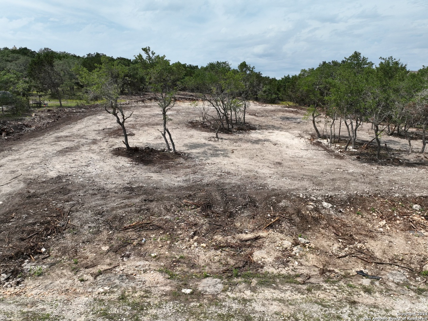 a view of a forest with a bench