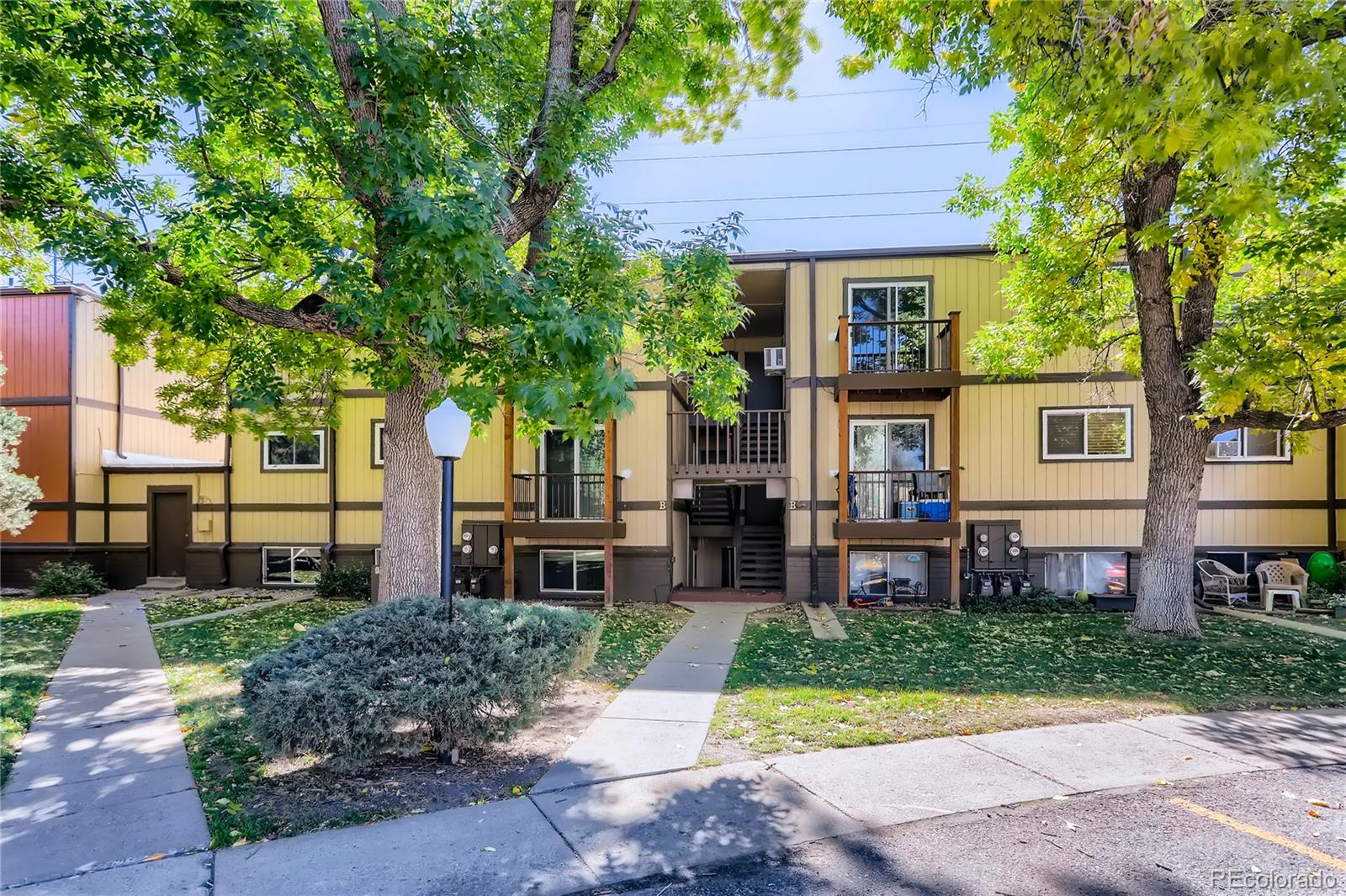 a house that has a tree in front of it