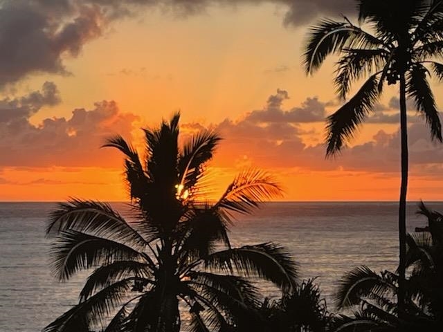 a view of a ocean with a palm tree