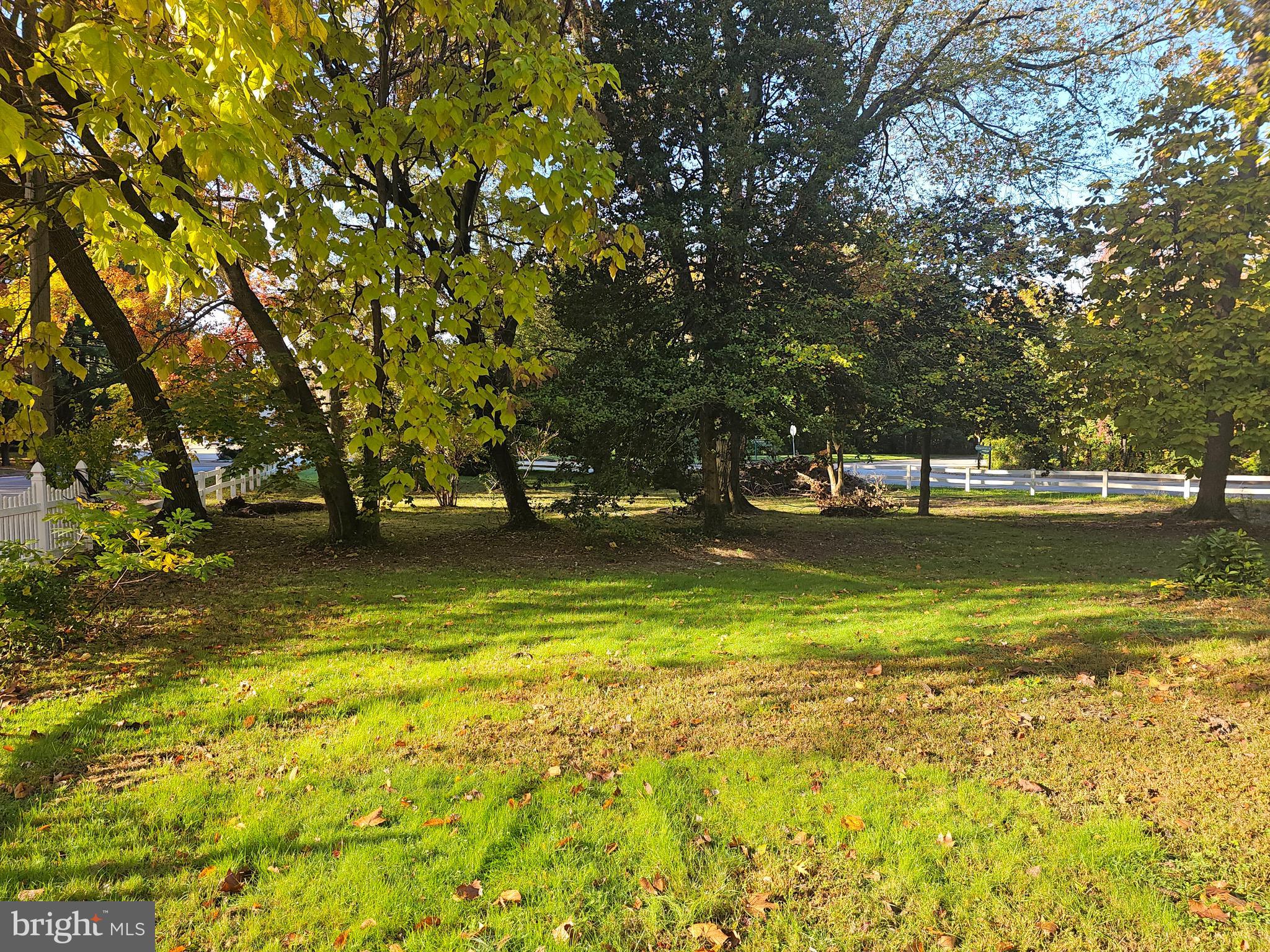 a view of yard with swimming pool and trees