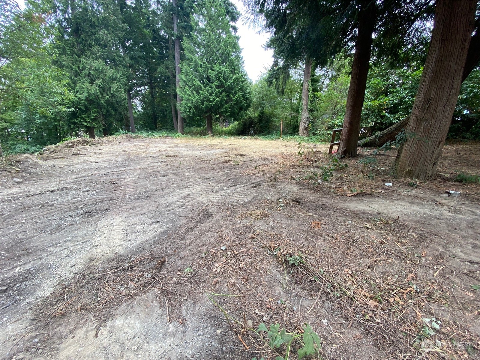 a view of outdoor space with trees