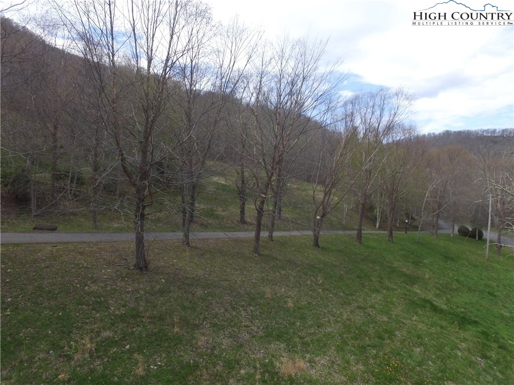 a view of a field with trees in the background