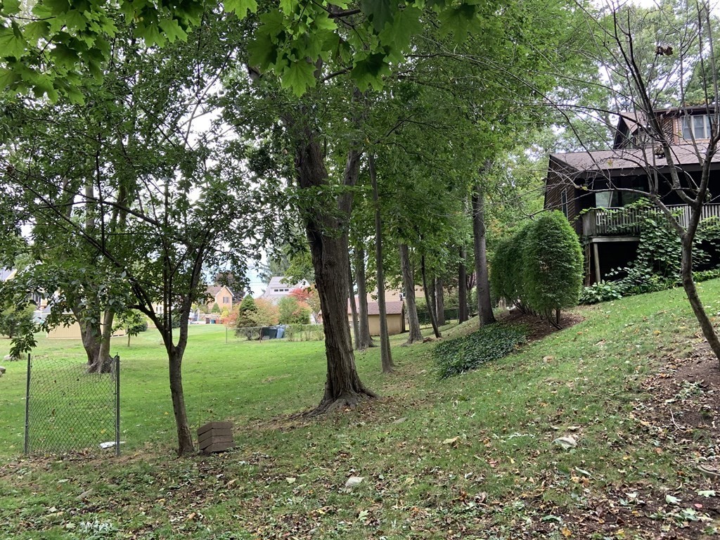 a view of a garden with trees