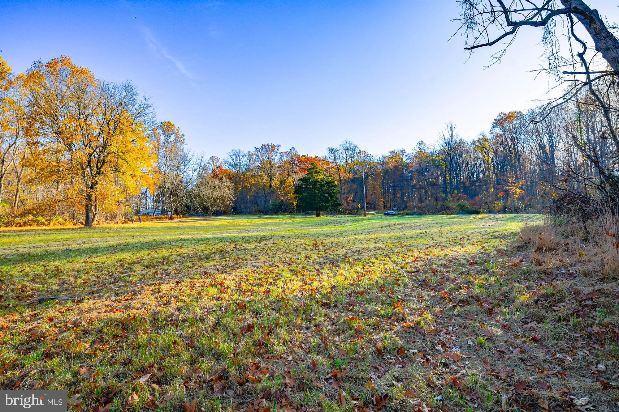 a view of a field with trees in the background