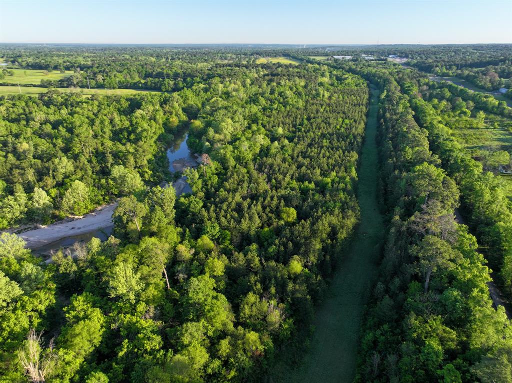 a view of a lush green forest with lots of trees