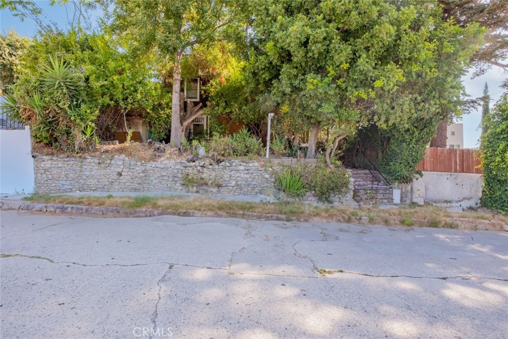 a view of a house with a yard and large tree