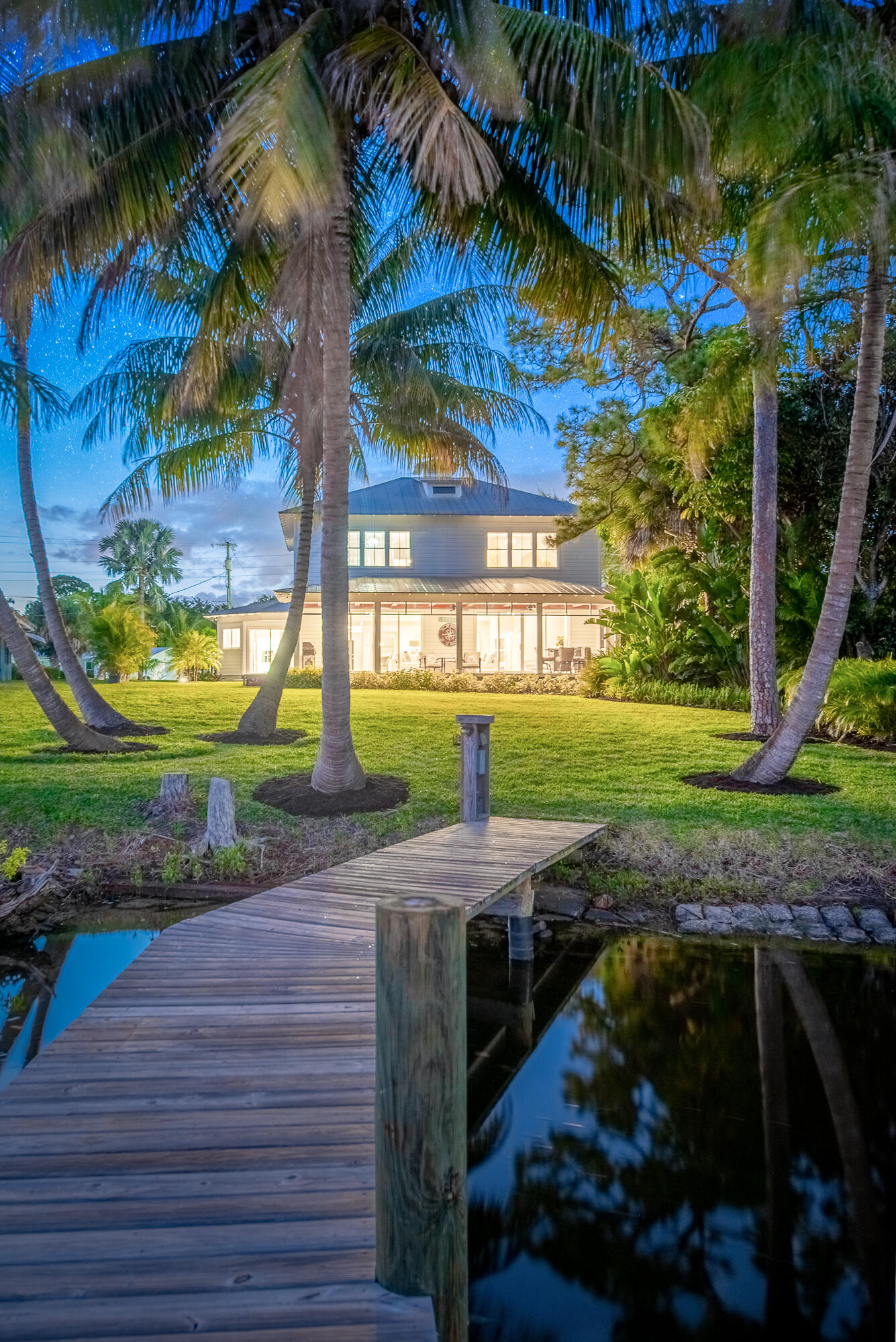 a view of a yard with plants and palm trees