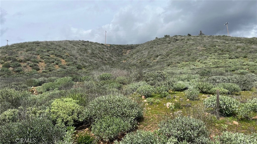 a view of a dry yard