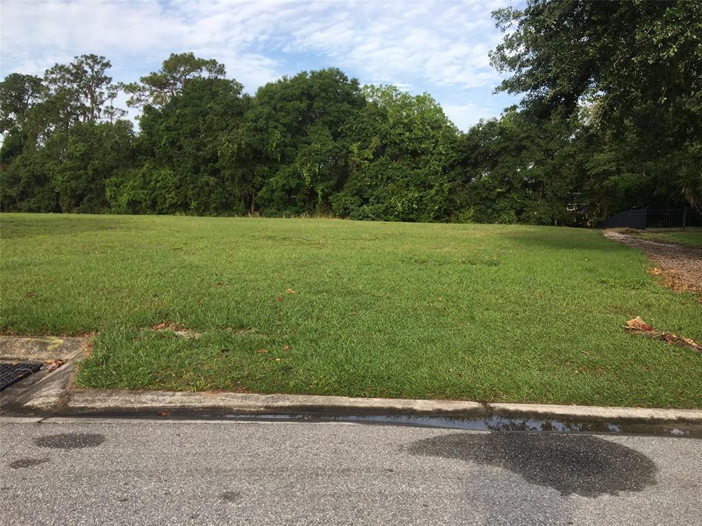 a view of a field with a trees in the background