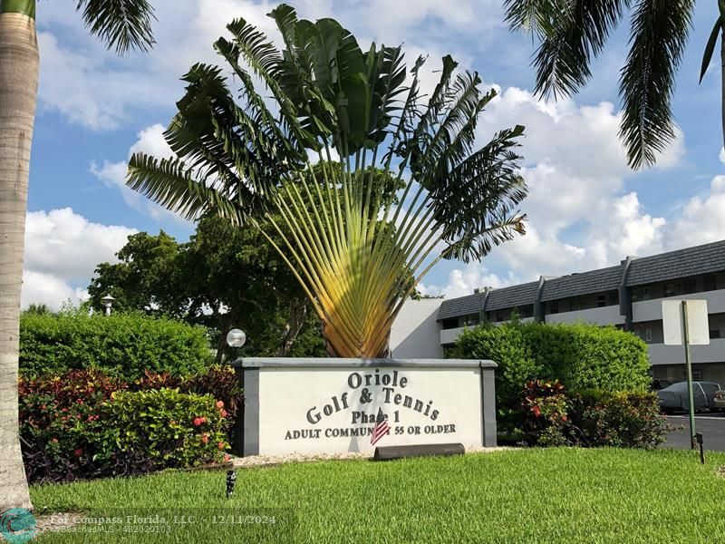 a view of a palm tree with a sign of a park