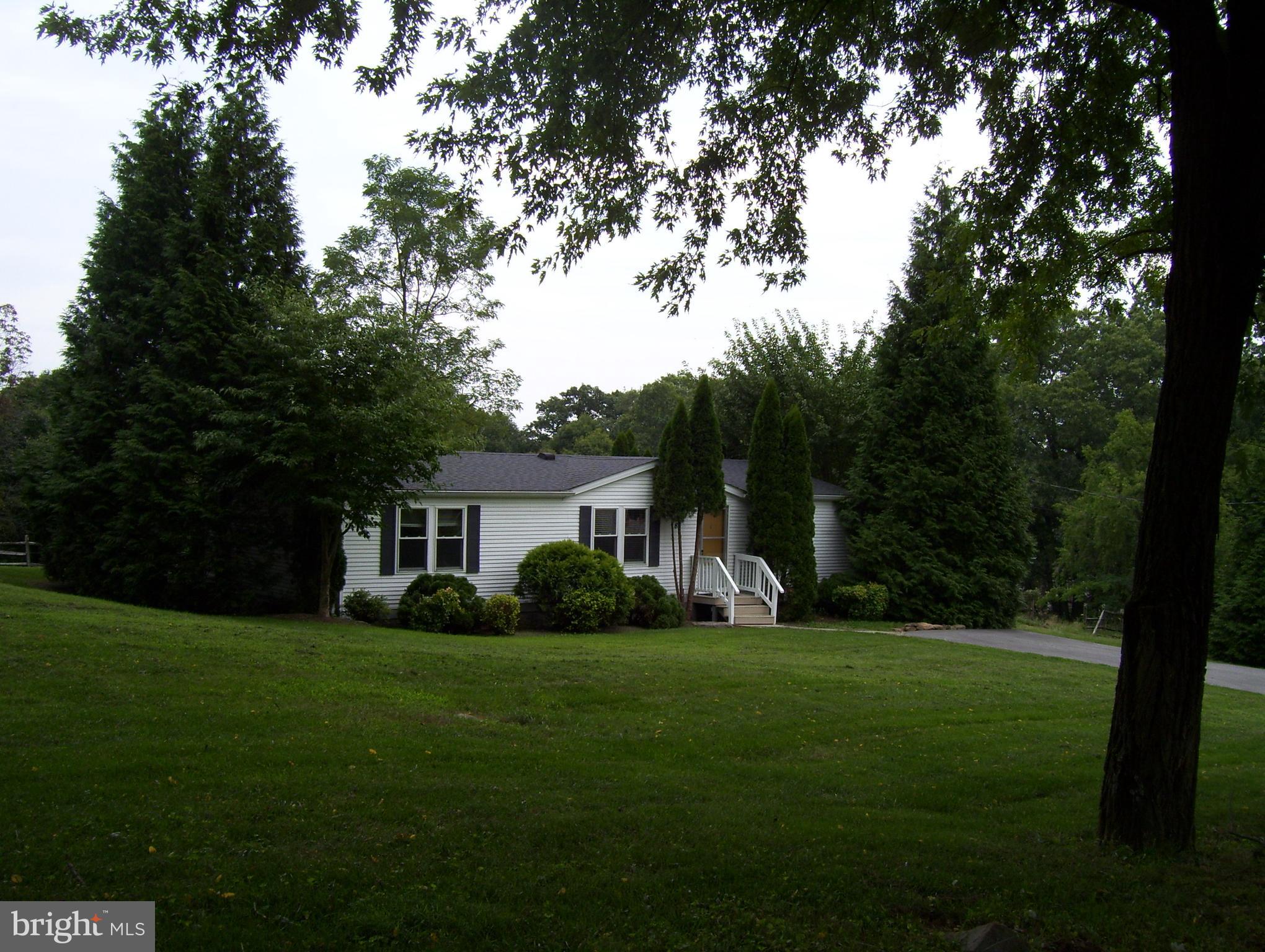 a backyard of a house with potted plants and large trees