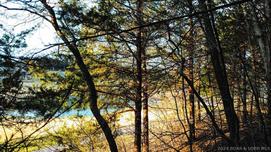 View from Lot to #10 Green & Interior Lake